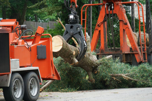 Best Utility Line Clearance  in Flint, MI