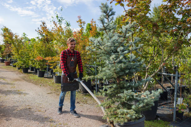 Best Storm Damage Tree Cleanup  in Flint, MI